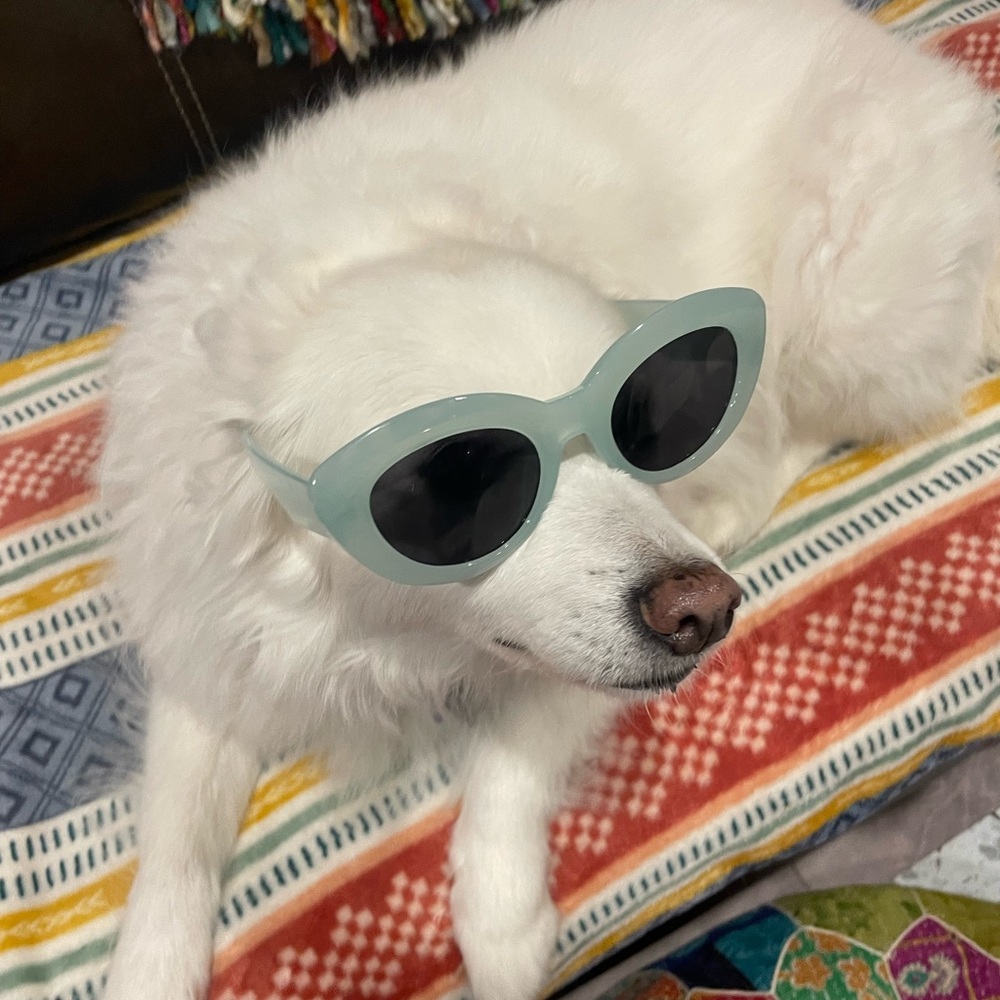 Stylish Blue Cat-Eye Sunglasses